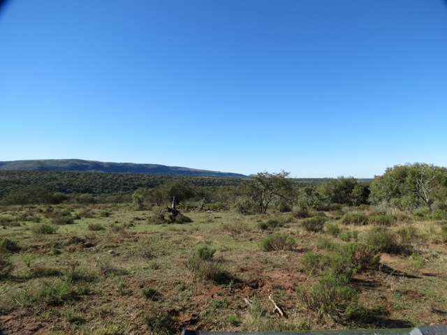 20120708-092222.jpg