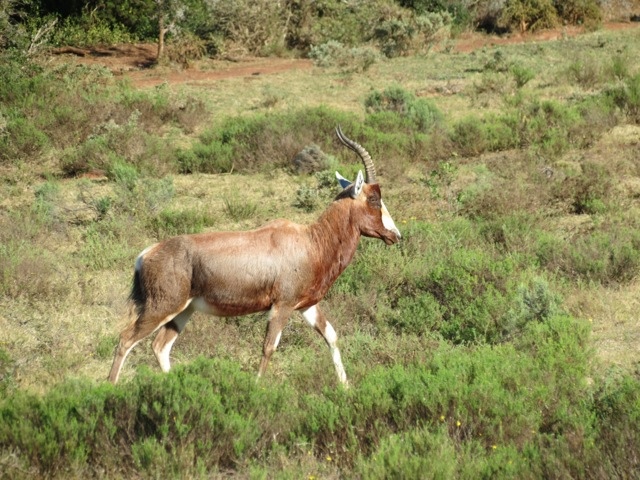 20120708-092242.jpg