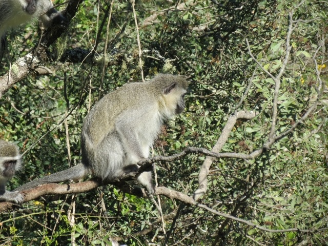 20120708-092250.jpg
