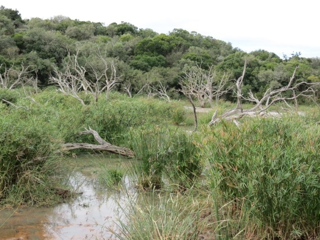 20120708-092330.jpg