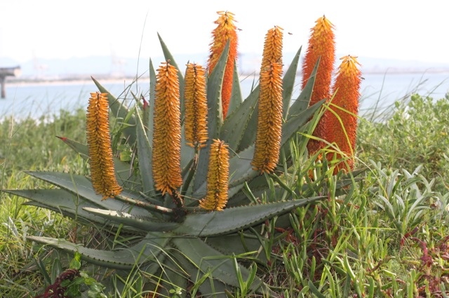 20120712-005350.jpg