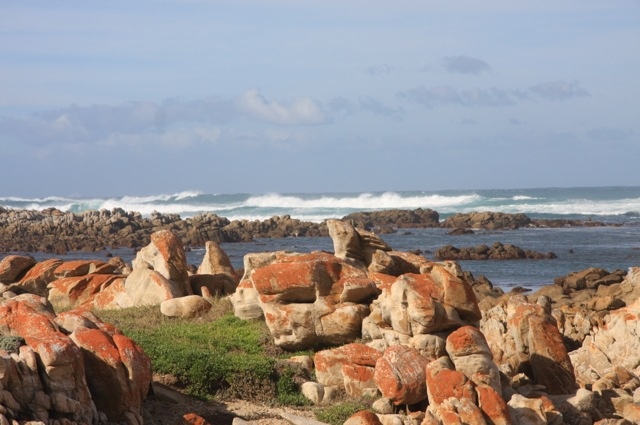 20120712-005416.jpg