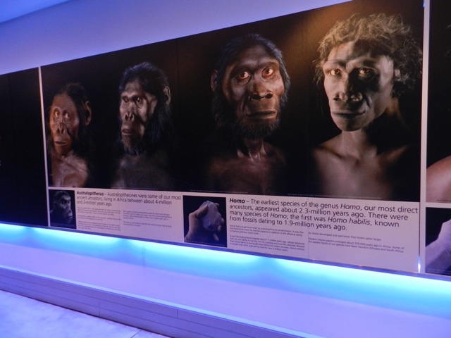 20120712-013325.jpg