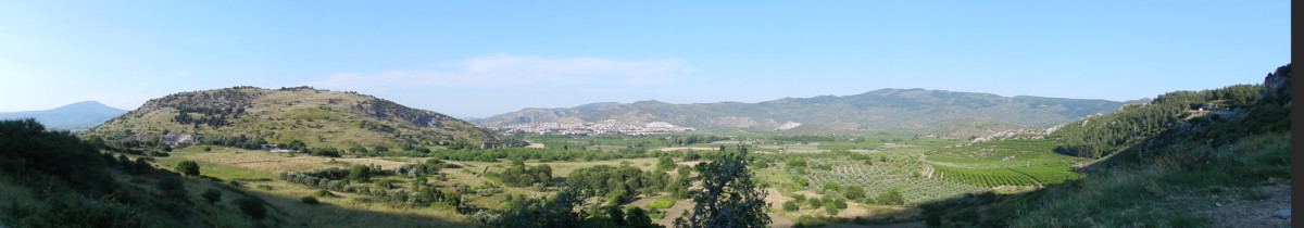 DSCN5931