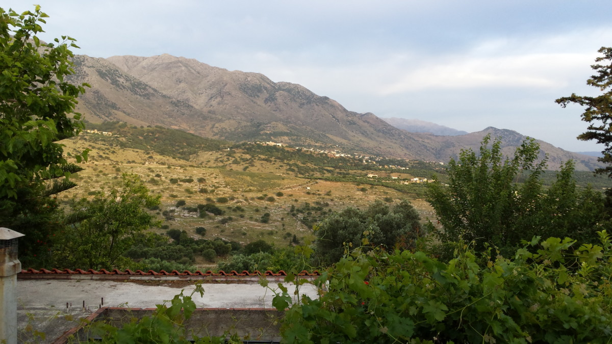 wpid-20140528_064107.jpg